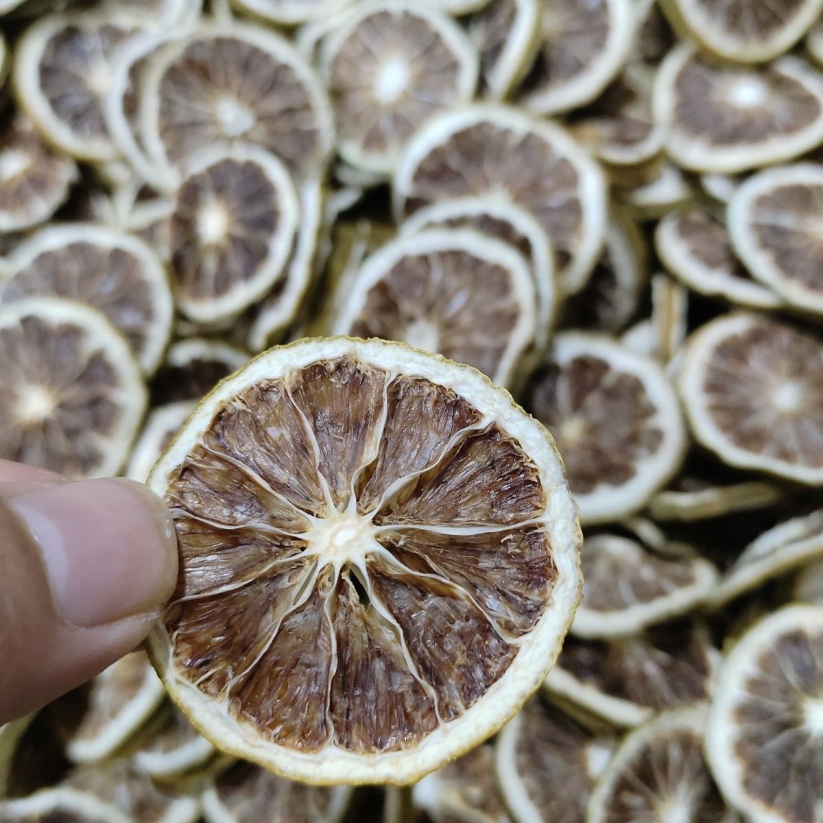 Premium Natural Dried Lemon Or - Dried Fruit Mix ulasan dan harga