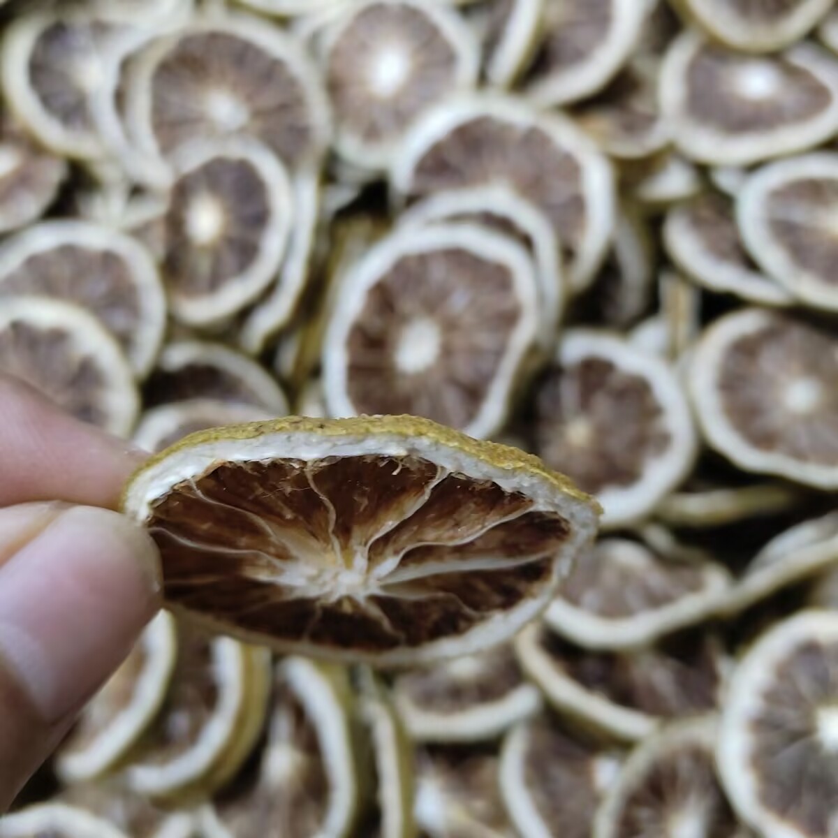 Premium Natural Dried Lemon Or - Dried Fruit Mix ulasan dan harga