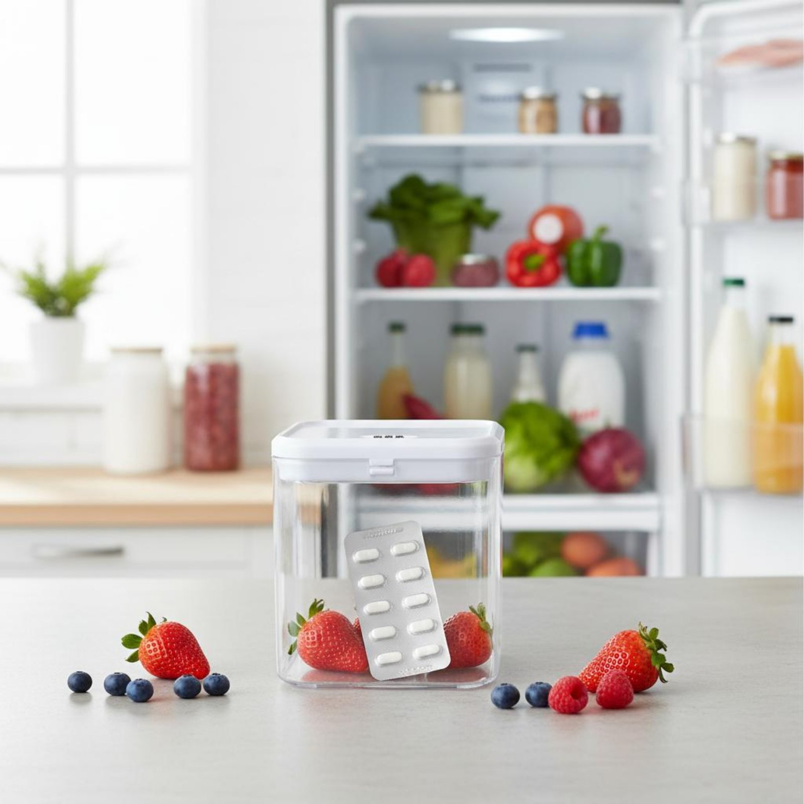 Clear Lockable Box Versatile L - Food & Snacks Colouring Book ulasan dan harga