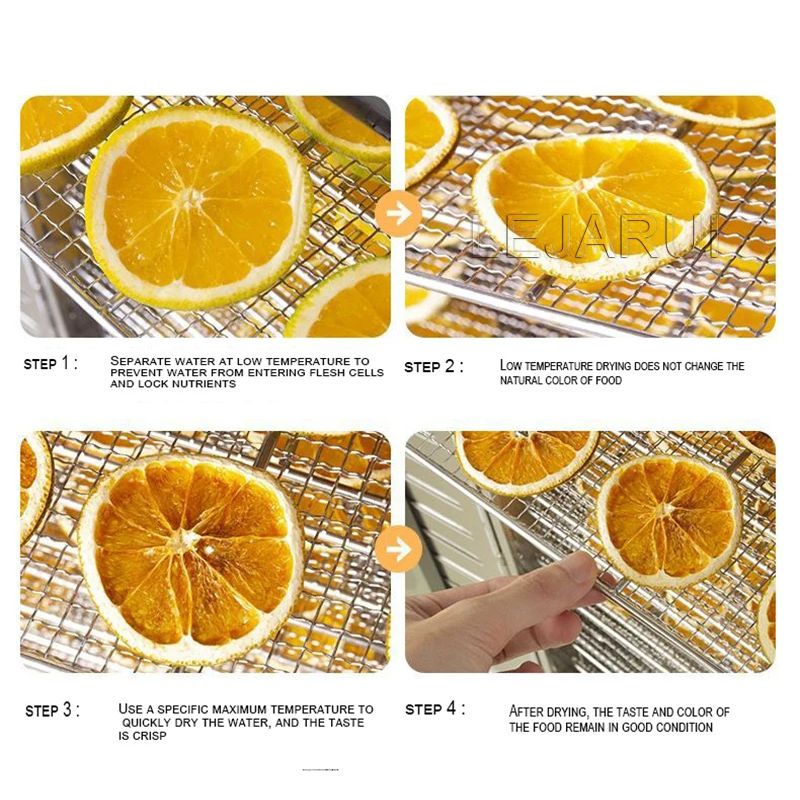 Fruit Dryer Household Food Dri - Dried Fruit Mix ulasan dan harga