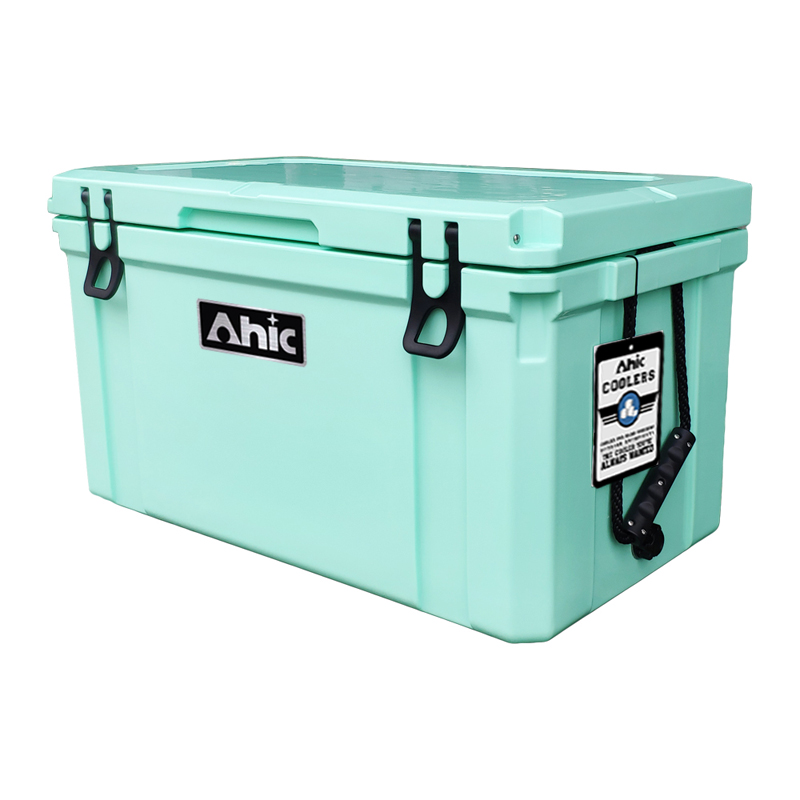 75L Insulated PE Ice Cooler Bo - Food & Snacks Colouring Book ulasan dan harga