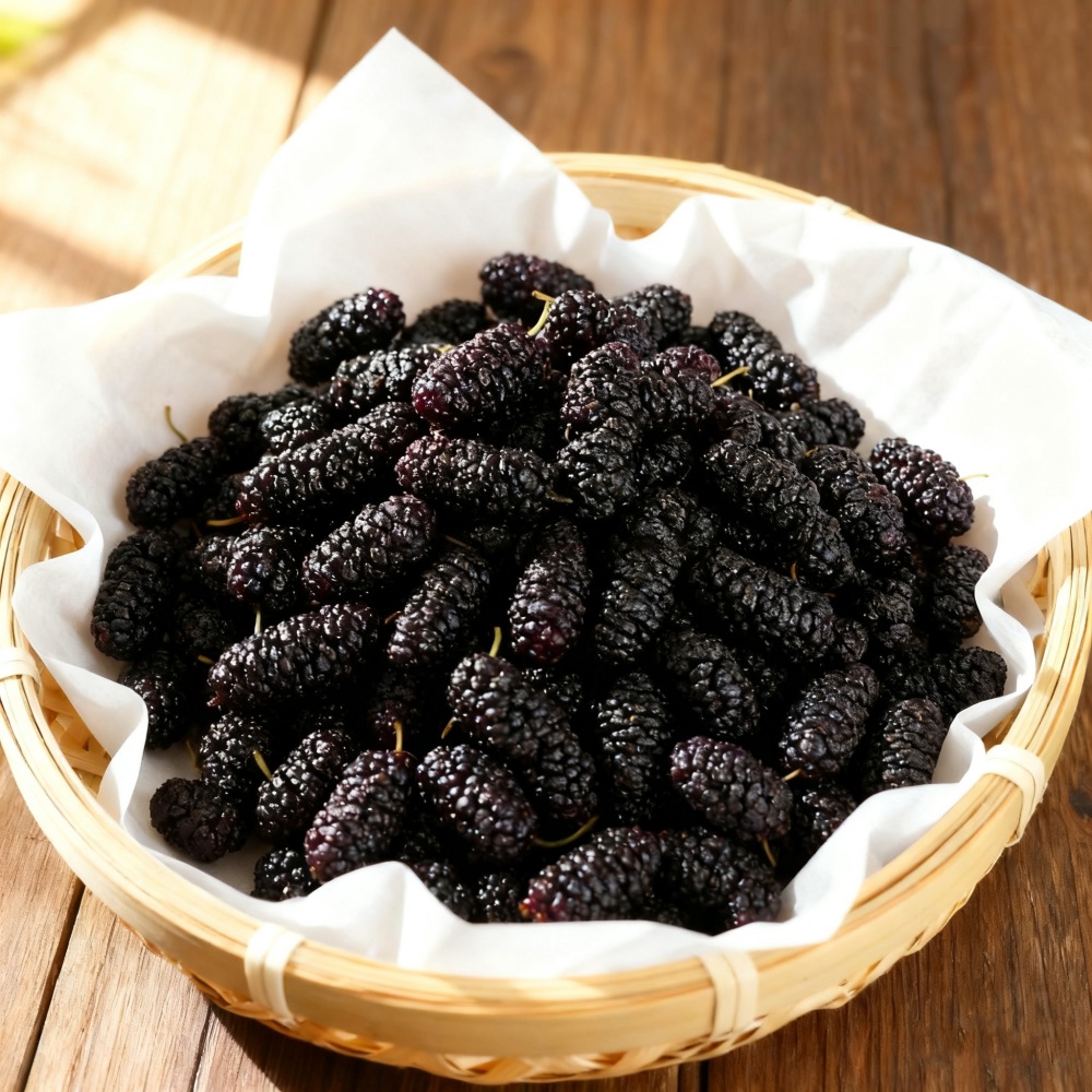 Pure Natural Dried Mulberries  - Dried Fruit Mix ulasan dan harga